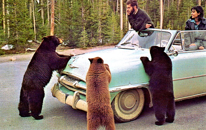 15_09_07 5 WY Yellowstone