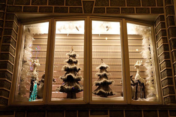 2015_12_28 7 Colorado CM_0842