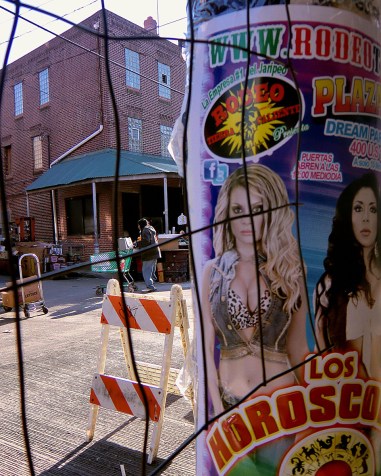 16_05_06 14 Karen Benson Market Walker