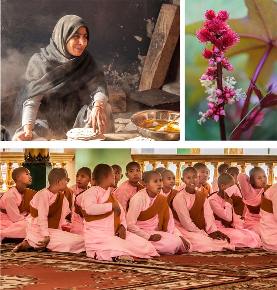 17_02_15-6-blaine-bonham