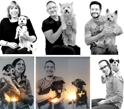 17_12_01 3 Dog Windows